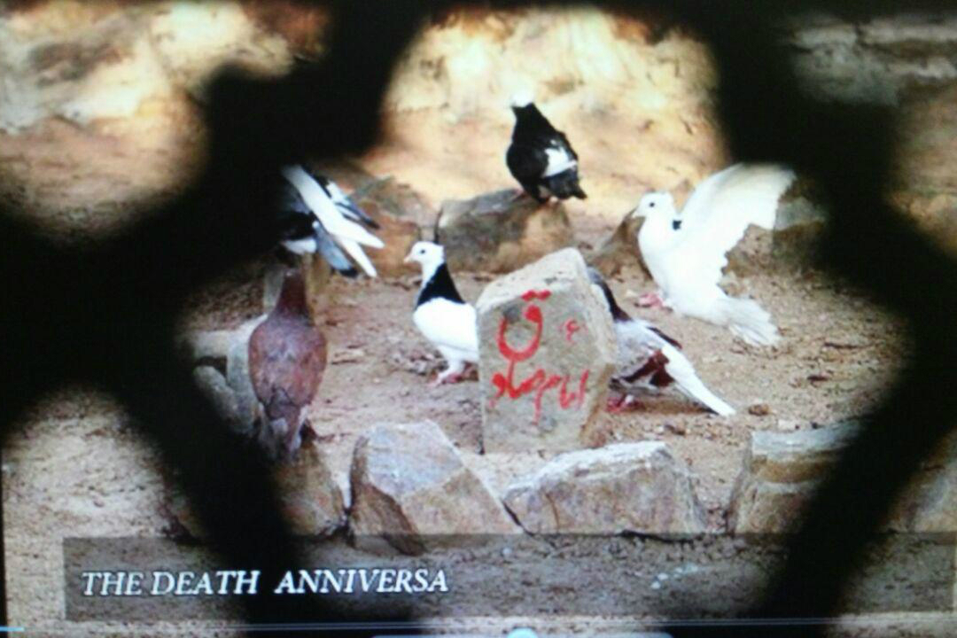 شهادت امام صادق