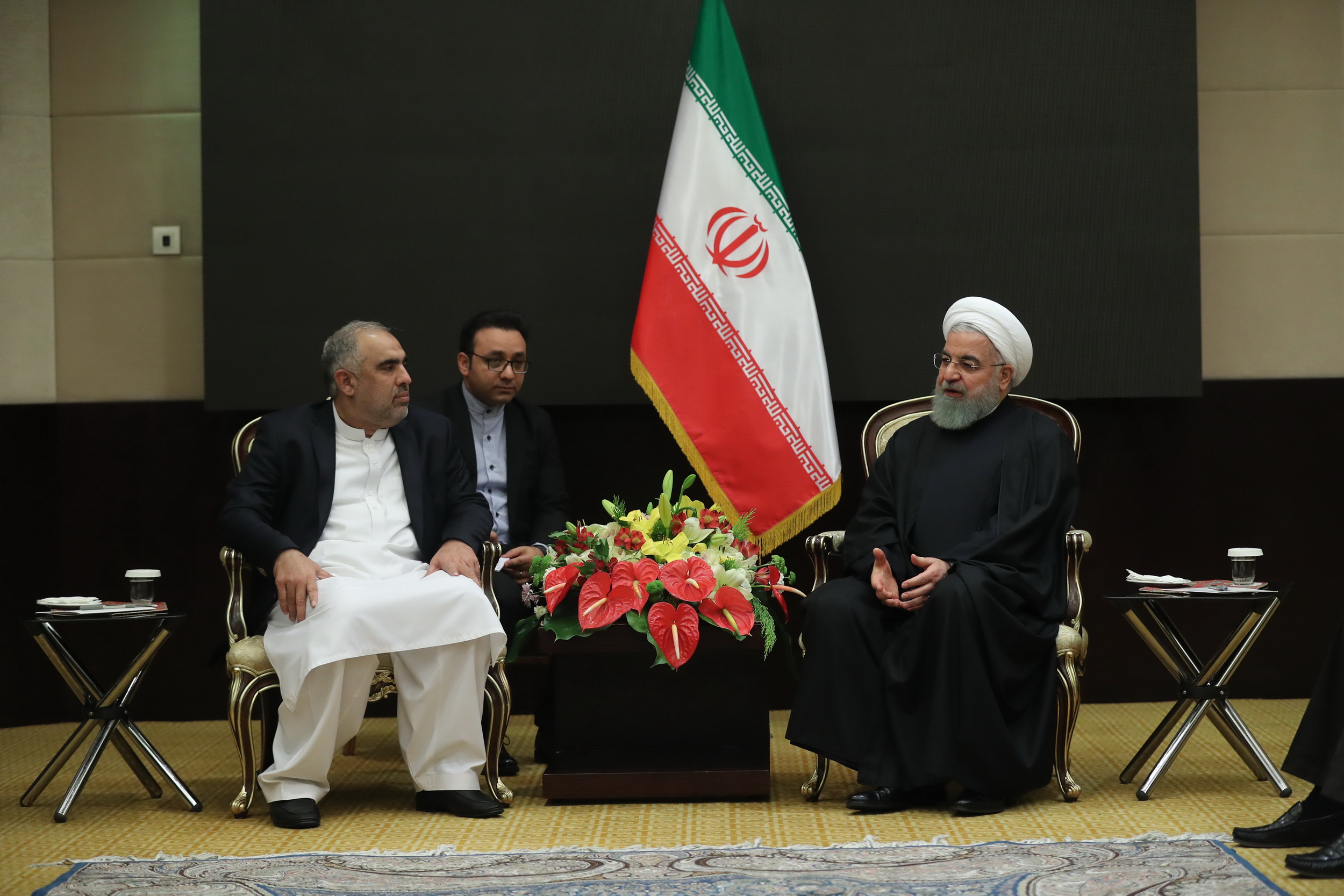روحانی در دیدار رییس مجلس پاکستان