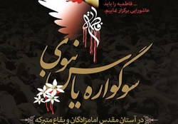 دشمنان حجاب و پاکدامنی بانوان را مورد هدف قرار داده اند