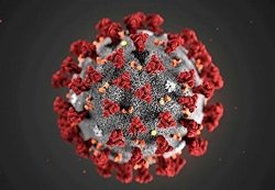 ویروس کرونا ساختِ آمریکا و یک سلاح بیولوژیک است