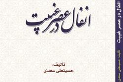 کتاب «انفال در عصر غیبت» توسط دانشگاه امام صادق منتشر شد