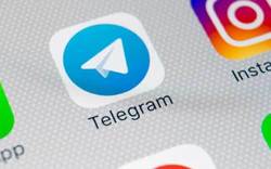 همکاری تلگرام با دولت برزیل و قبول قوانین آنها