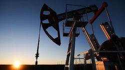 افزایش بهای طلای سیاه در پی اعمال سقف قیمت برای نفت روسیه