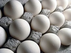 اختلاف قیمت  ۱۷ هزار تومانی تخم مرغ